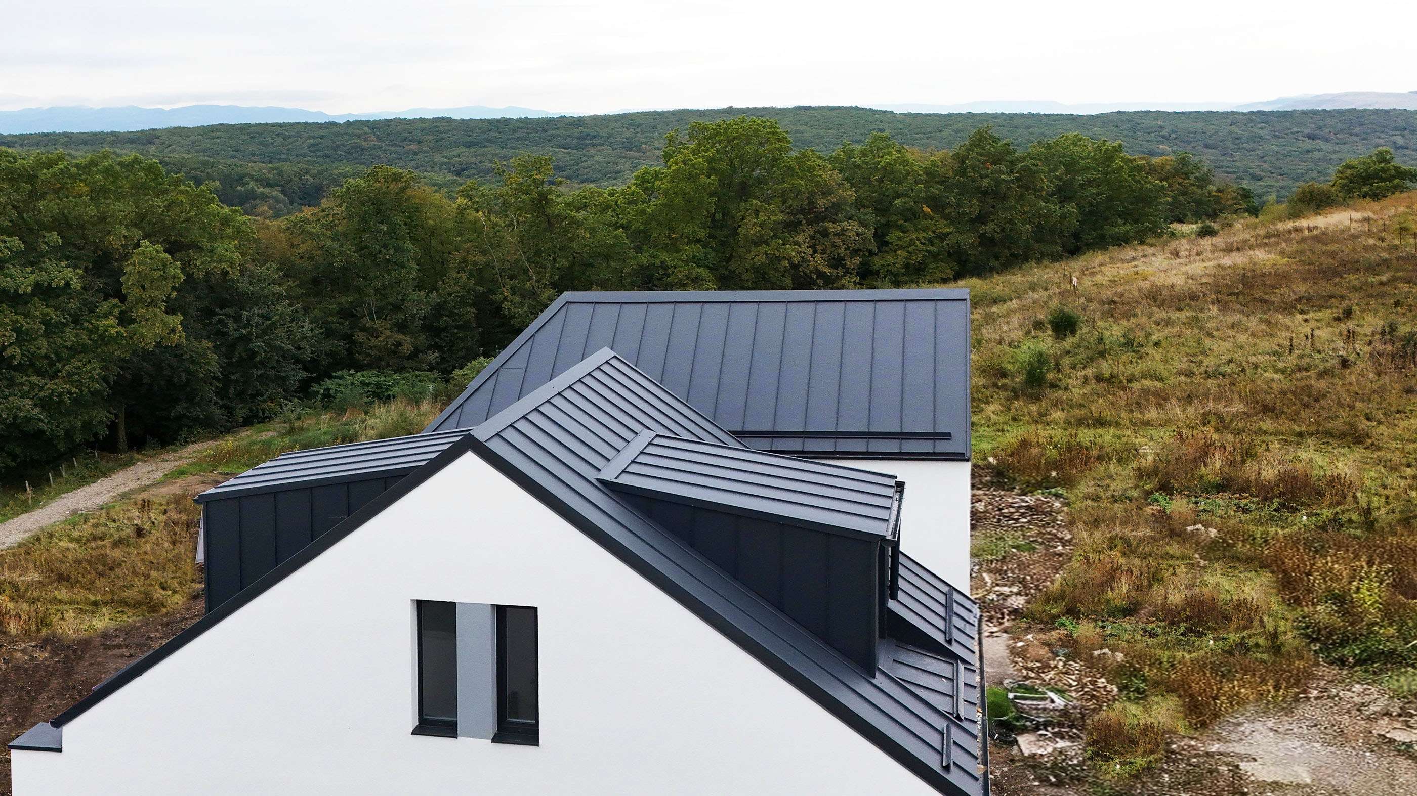 Proiect în derulare19